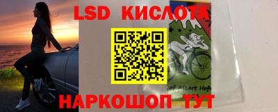индика Бердск