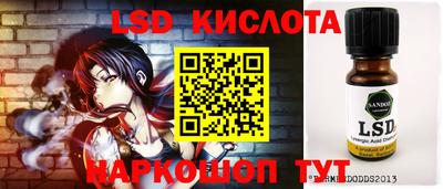 индика Бердск