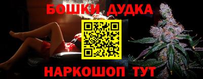 индика Бердск