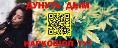 индика Бердск