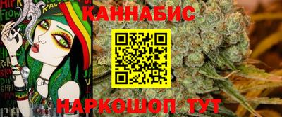 индика Бердск