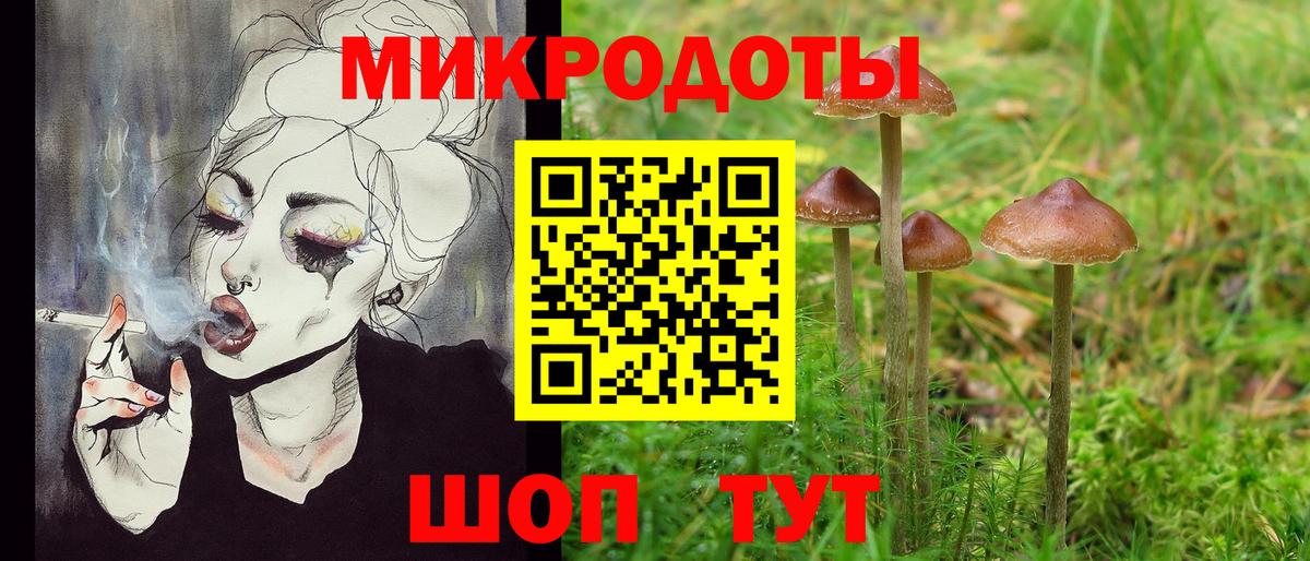 Галлюциногенные грибы GOLDEN TEACHER  Вход с VPN  Гатчина  Псилоцибиновые грибы ЛСД 