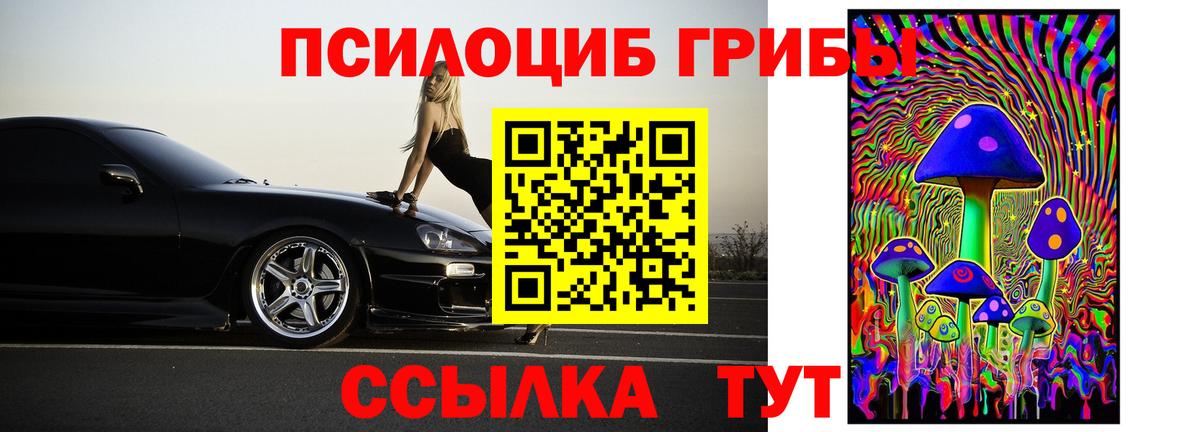 Галлюциногенные грибы мицелий Гатчина