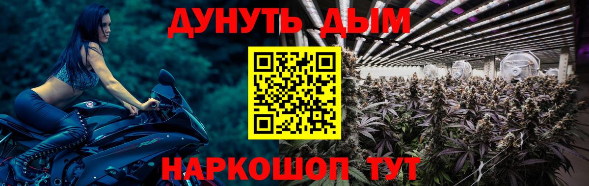 Гатчина  Марихуана White Widow  Конопля план  Вход с VPN 