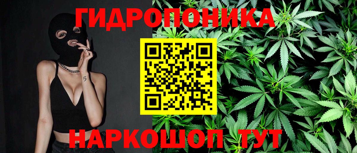 Каннабис ГИДРОПОН Гатчина